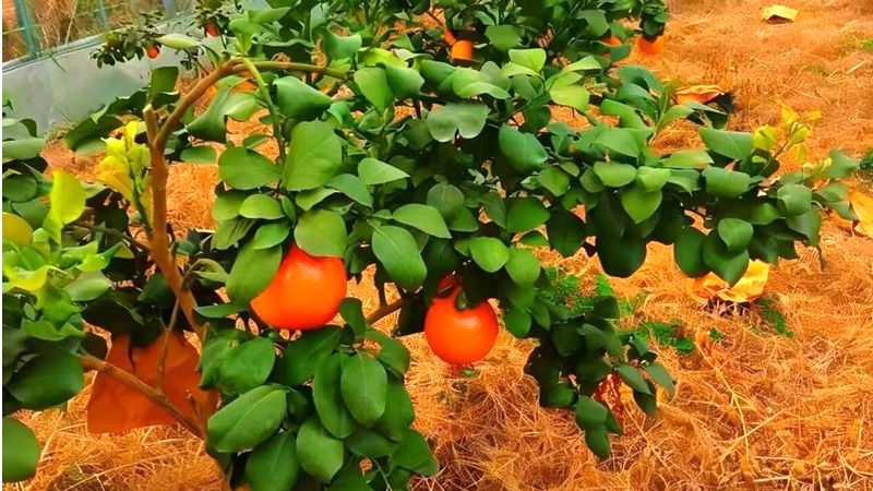 �C�O��a�A�~�ĦX�o�i�ߵ��ӪG