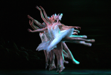 ,,,English National Ballet,,Swan Lake,,