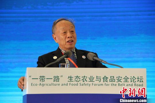 ���@�a�@�����ͺA�A�~�P���~�w���׾¦b��w�|��