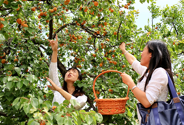 �e�_����:���������ޫȨ�