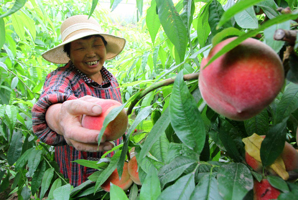 �e�_���X��:�e���ƭ��I�A�a