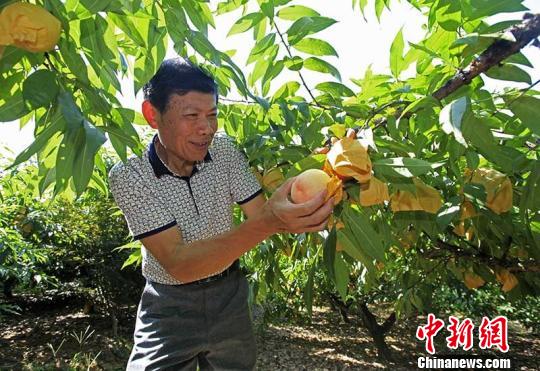 �����^�Ƥ��e�筺�����X�Ҧ桨:�X�f���������ӽ�