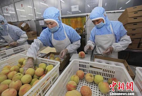 �Ϭ��u�@�H������e����z�˽c ���i�� ��