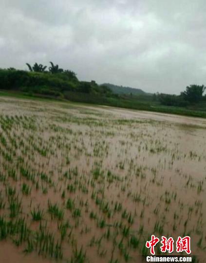 �ɫB�P�A�гQ�T�C �E�F �ѹ� ��