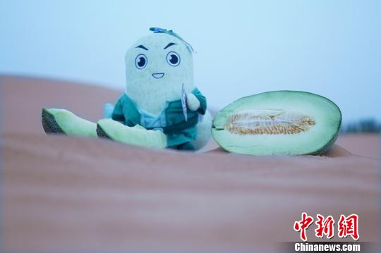 �sæ���ʪ����{�h��������A�ڷ��������w�J�����ʡ��A���зǤƺشӡA�@�õ���ʡA���{�O��⪺�A�M���h�ġA���a�H���{�����M���������\�ġC�@�i�w ��