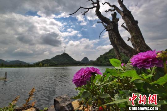 ���n���̶¡G����h�x�����W�ͺA�ȹC�P�I��