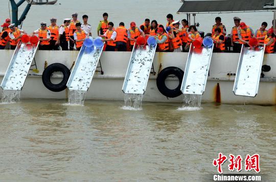 �⩤���~���W�ީ�y 4.2�����v���ا�V�O�W���l