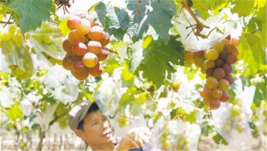 �]���O�ж鱴���A�~�[������s�Ҧ��쨣����