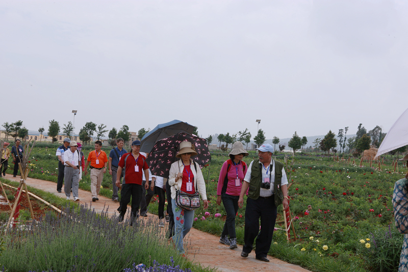 �O�W�A���N���춳�n��y�ѳX