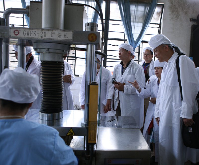 �O�W�A���N���춳�n��y�ѳX