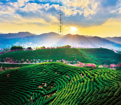 �J�����  �J���� �X�X�úֻO�����s��