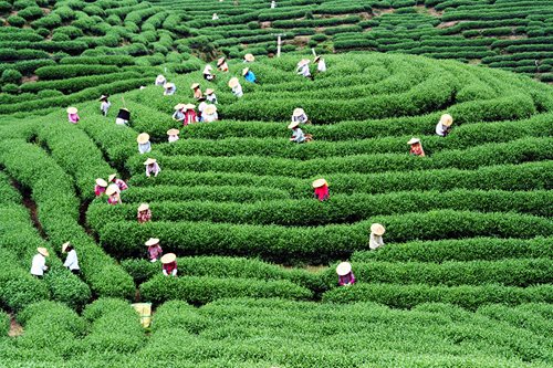 �J�����  �J���� �X�X�úֻO�����s��