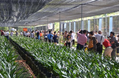 �W��S�⪺�����U�Y�����ϱa���C�ȧO�˪�����C�]�������@��^