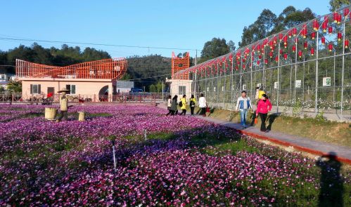 �W��S�⪺�����U�Y�����ϱa���C�ȧO�˪�����C�]�������@��^