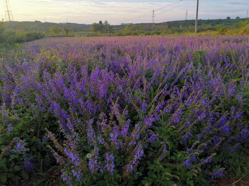 �����O�ж鰣�F���Ѫ���A�٦��K�K