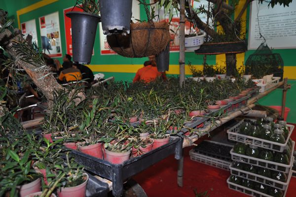 ��ϯS��ϰ�C