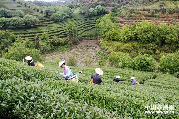 �O�~������į�