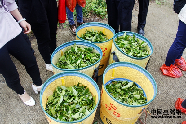 �j�a�@�P�Ī���