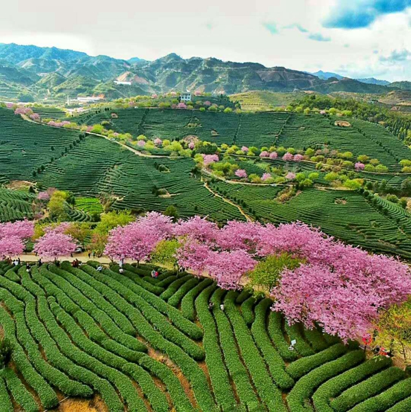 �s���O�ж�������