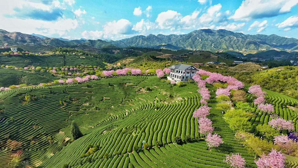 �s���O�ж�������