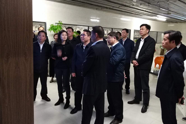 廣東省副省長葉貞琴到潮南臺創園調研 廣東省副省長葉貞琴到潮南臺創園調研