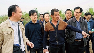 �O�W����è�����F�V�]���|�X��������