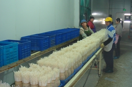 ��ۣ  3_�ƥ�.jpg