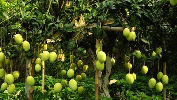 �|�t���k�K���Q��O�W�A���з~��²��