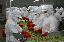 �j�V(�O��)���~�u�~�������q