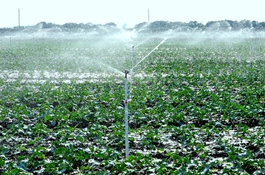 �O�ˤj�i�A�~�شӦ������q