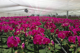 �P�~�ѩ���c��ަ������q