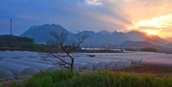 �O�{�P�~�O�W�A���з~�鷧�p