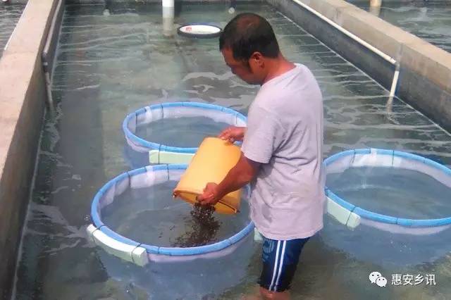 �����b�s���f�s���Ϥ�