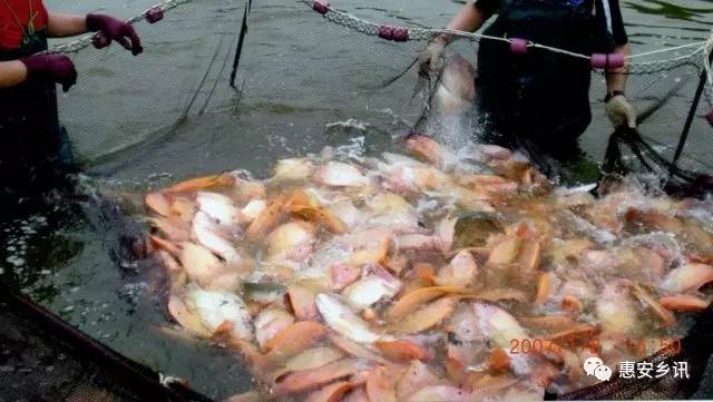 �����b�s���f�s���Ϥ�