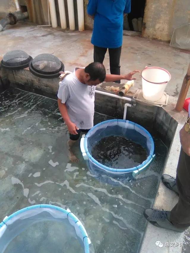 �����b�s���f�s���Ϥ�