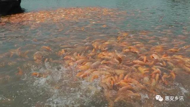 �����b�s���f�s���Ϥ�