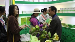 �ϬݻO�ж�i��