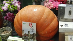 �A��|�W���_�_�ǩǡ����i�~��