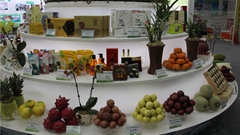 ���l�⩤�]�֫ء^�A�~�X�@����Ϯi�~