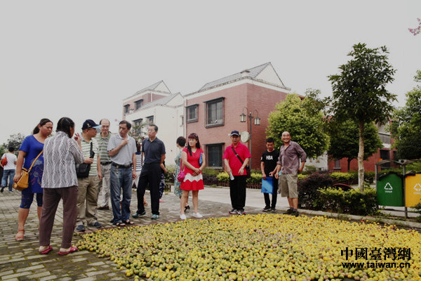 �ѥ[���V�ǭ��b�����Z����e���ѳX�C