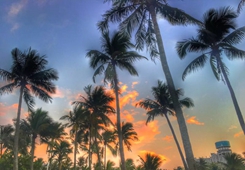 �q���W�q�����h�q�����דr���������h30�e