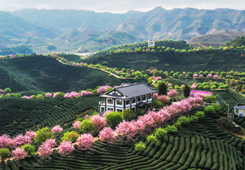 �L�hä�p�g���ђÒʒ׬��W����i�ܭS�Z�����Γ|� �Υ���ӼZ�ں]