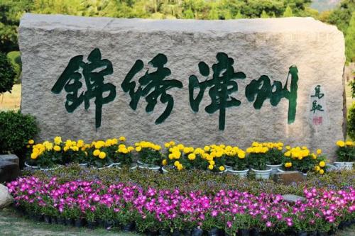 �����Δb������D���s�������y�W���O��y