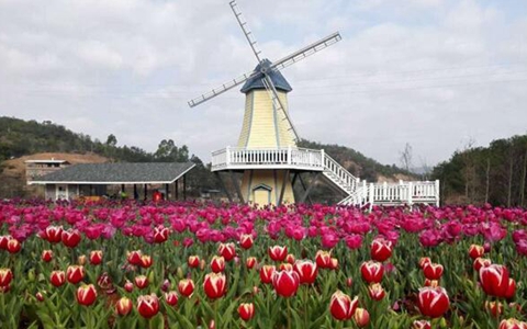 ���������31�¾��o