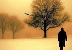 �L�o���\���{�����Y棬����������w�j���哥���Y�s�M