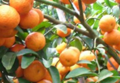 GԪ`31LHLs硲xt MIJiveLF