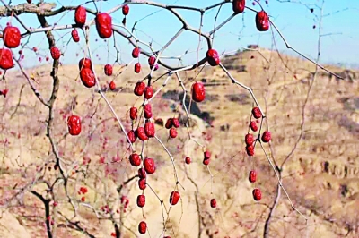 �n�����Ϥ����y�m���h�}���\�\�ͩ����v�L�ϫa�K�ʡ�