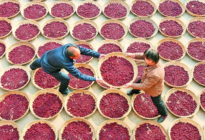 �n�����Ϥ����y�m���h�}���\�\�ͩ����v�L�ϫa�K�ʡ�