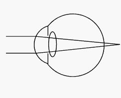 �e�q�â��z�B�SMagic Leap�n�z�~�G45�f�ܤ�