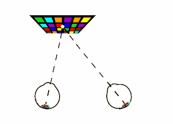 �e�q�â��z�B�SMagic Leap�n�z�~�G45�f�ܤ�